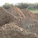4 Digging Starts (33)